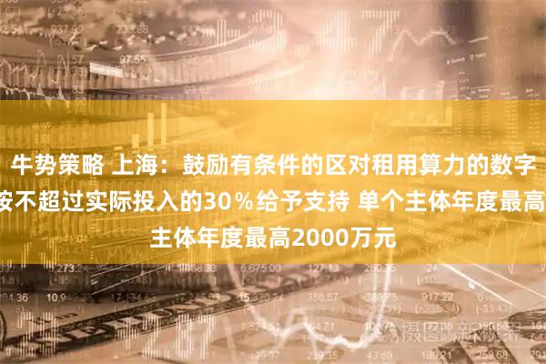牛势策略 上海：鼓励有条件的区对租用算力的数字广告企业按不超过实际投入的30％给予支持 单个主体年度最高2000万元